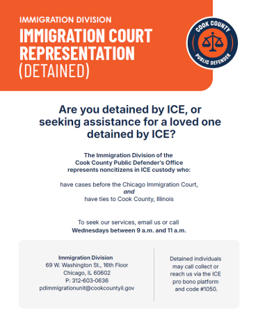 Thumbnail of "Immigration Court Representation (Detained)" PDF